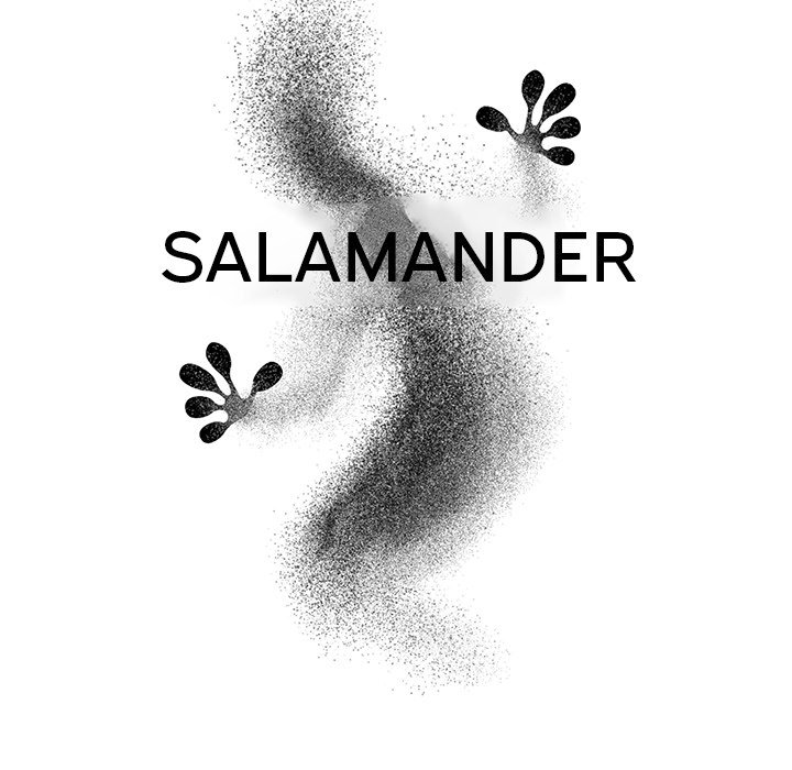 Salamander - Chapter 9 Page 29